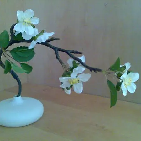 Rivoli Jardin *